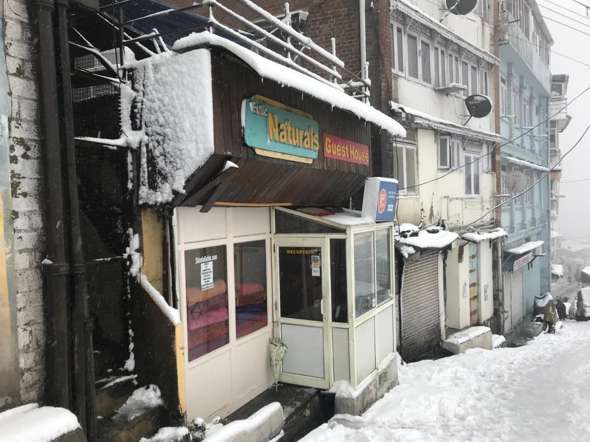 Exotic Naturals Guest House 西姆拉 外观 照片